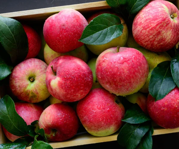 Organic Apples Organic Apples