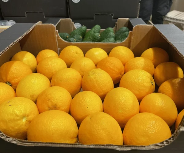 Organic Oranges Organic Oranges